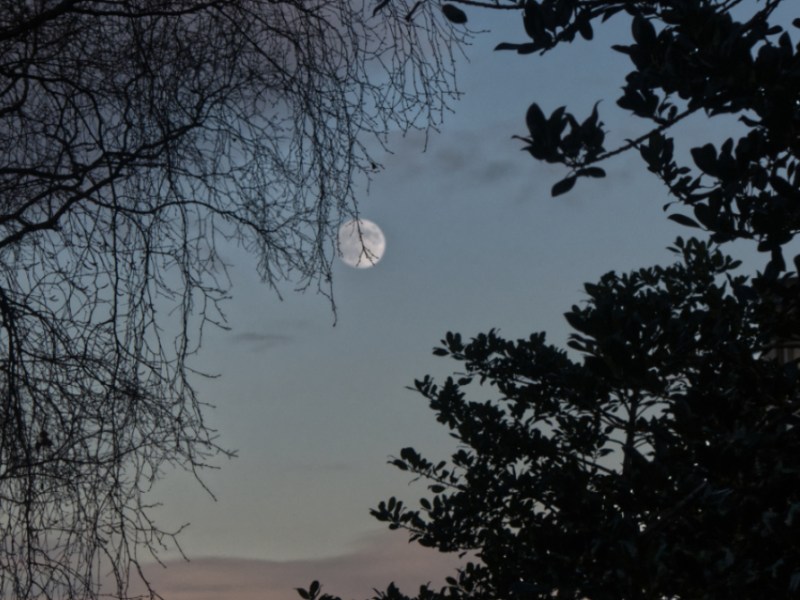 Edinburgh; inner life within the&nbsp;city